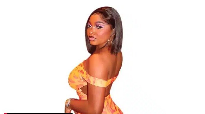 ‘She Bluntly Refused Search’ – Police Counter Papaya Ex’s Assault Allegations