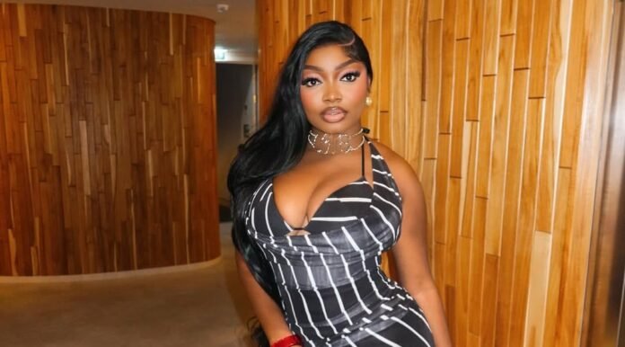 Police Officer Beat Me Inside My Car – Papaya Ex Cries Out Over Alleged Assault