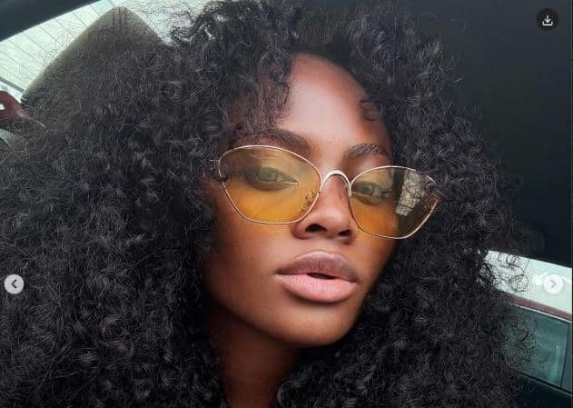 Why You Should Not Go For BBNaija Show – Reality TV Star, Tega Tells Nigerians