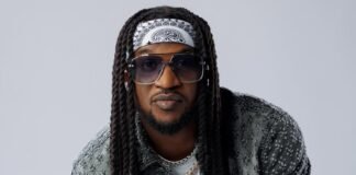 VIDEO: Rudeboy Falls Offstage During Performance